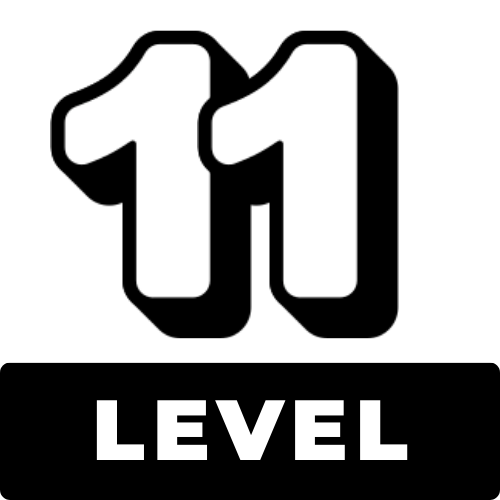 level 11