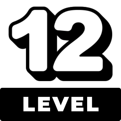 level 12