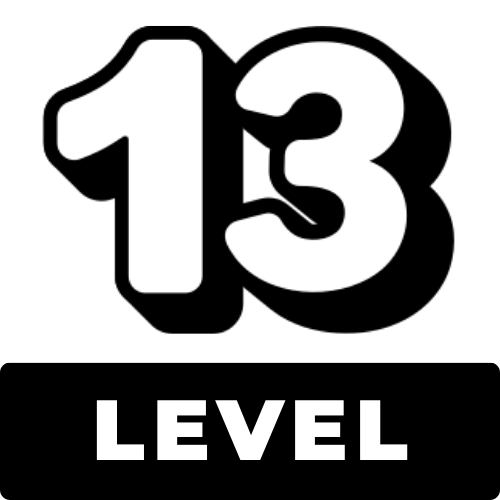 level 13