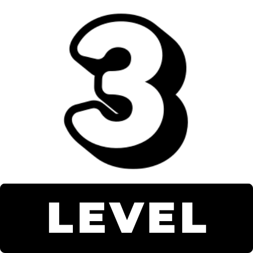 level 3