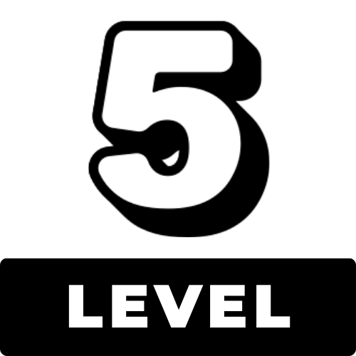 level 5