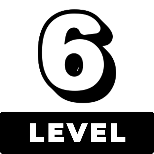 level 6